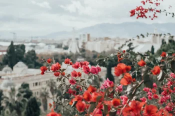 puente de diciembre en málaga